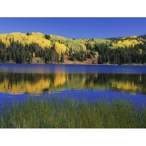Colorado, Gunnison NF Autumn scenic at Lost Lake